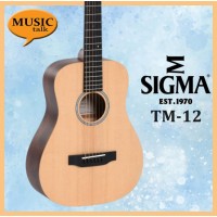 Sigma TM-12 Travel Size 34 Inches Acoustic Guitar Matt with gig bag