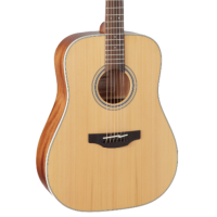 Takamine Guitar Acoustic GD20 NS Natural Matte Nex G Series 
