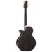 Takamine Guitar Acoustic Electric GN-75CE-TBK Transparent Black Nex Gloss G Series with cutaway