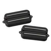 Seymour Duncan Sentient & Nazgul Rail Set Electric Guitar Pickup