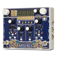 EHX Electro Harmonix Pedal Mod Rex Polyythmic Mod